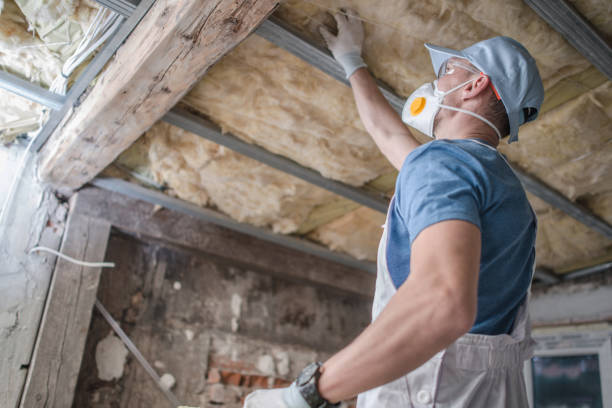 Best Insulation Maintenance and Repair in Man, WV